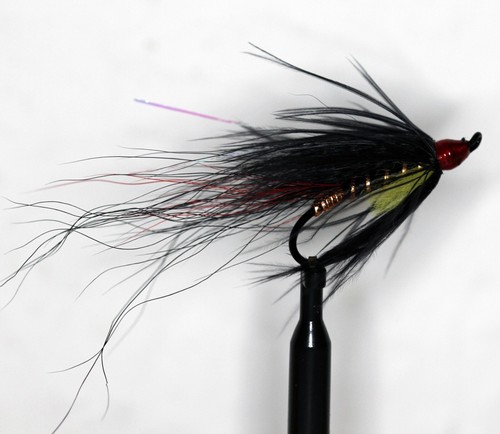 Lachsfliege black jack - lachsfliege, jack"
