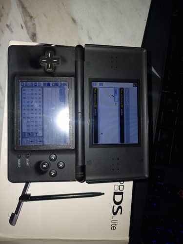 Nintendo lite handheld - lite,